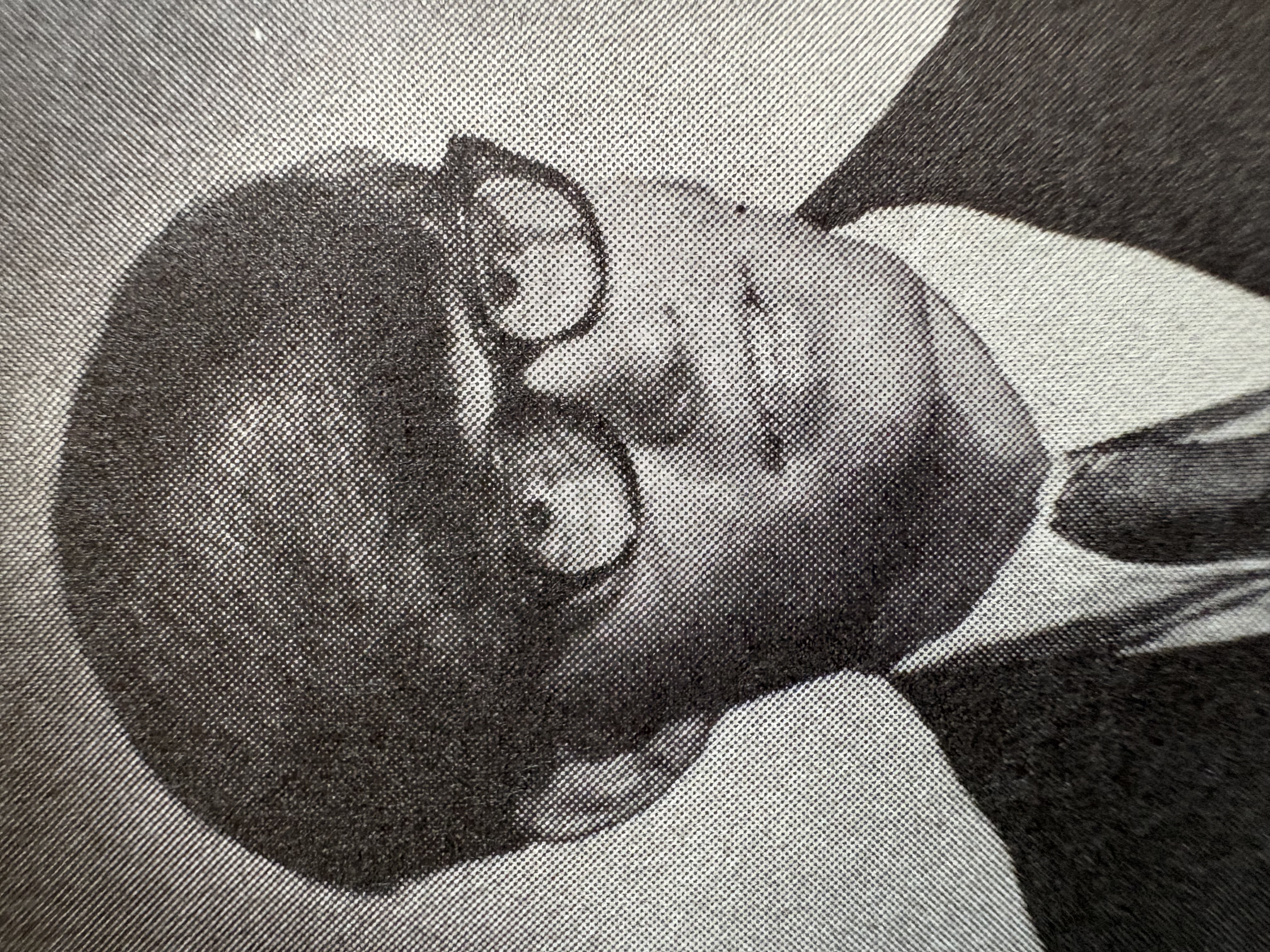 Jack Noble